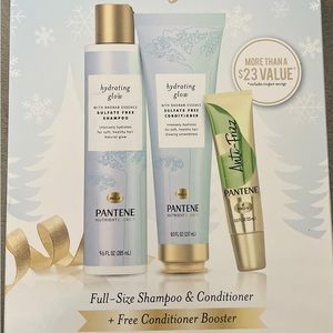 Pantene Full Size Gift Set $25